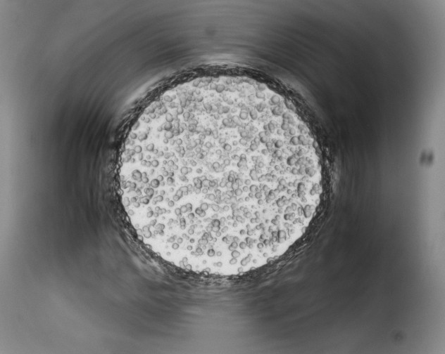 X0000114190968200911200933