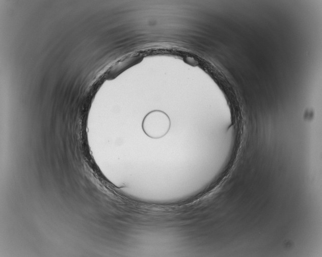 X0000114190969200911200933