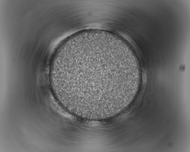 X0000114190971200911200933