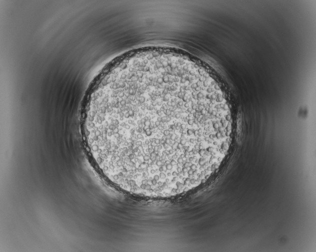 X0000114190972200911200932