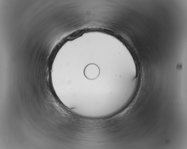 X0000114190973200911200932