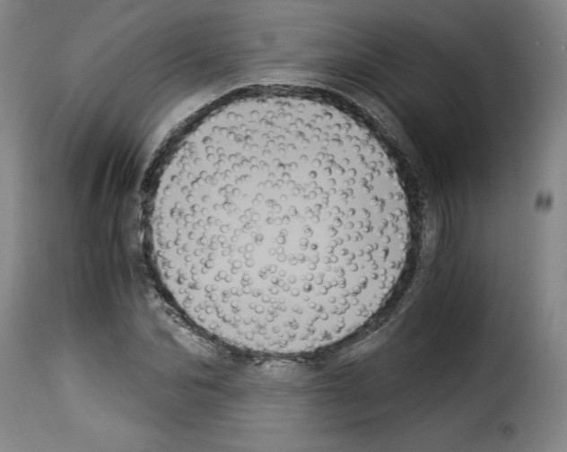 X0000114190974200911200932