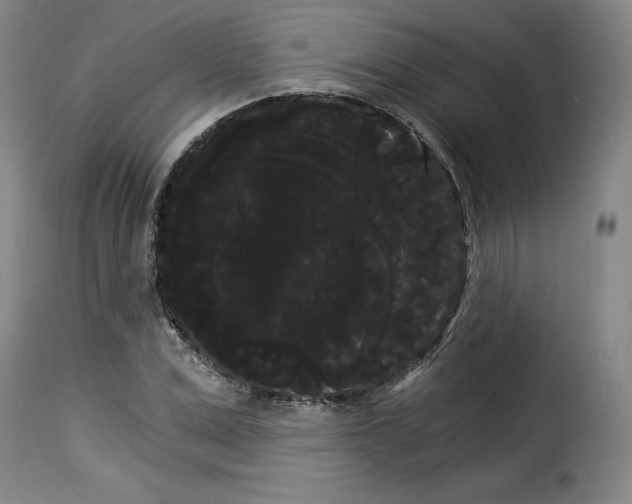 X0000114190975200911200932