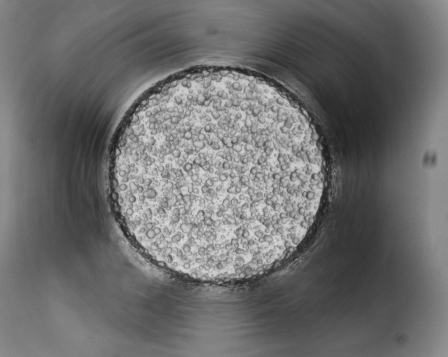 X0000114190976200911200932