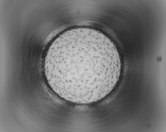 X0000114190978200911200932
