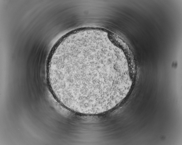 X0000114190980200911200932