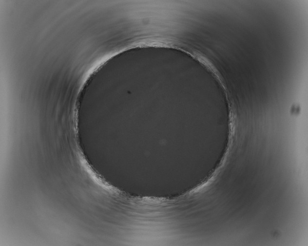 X0000114190981200911200932