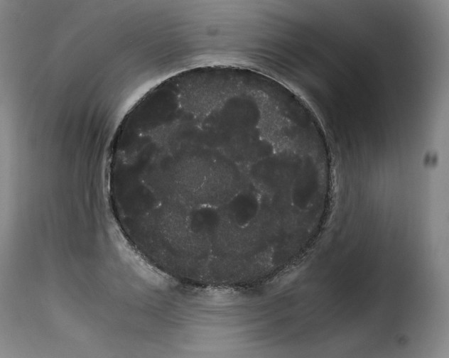 X0000114190983200911200932