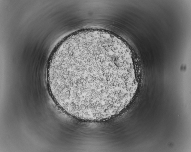 X0000114190984200911200932