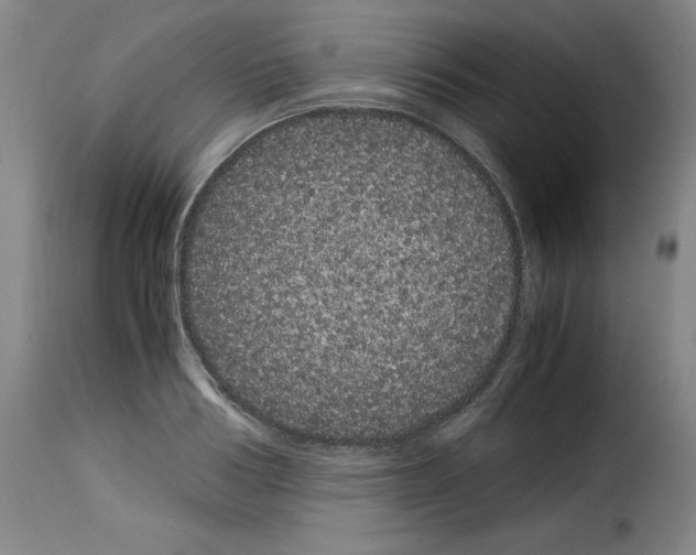 X0000114190986200911200932