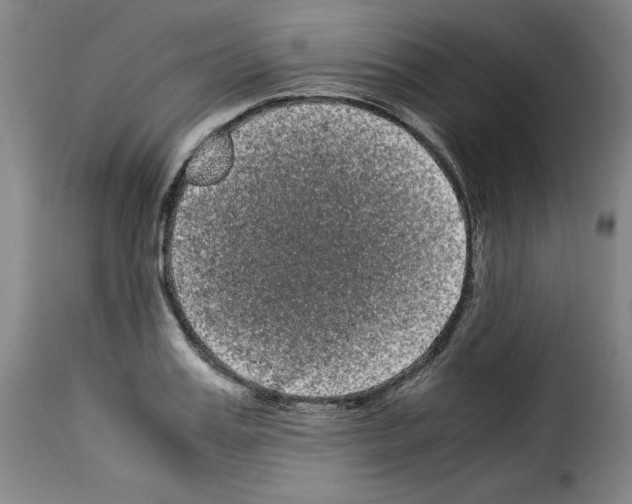 X0000114190987200911200932