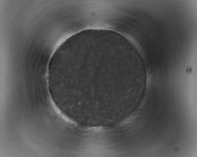 X0000114190990200911200932