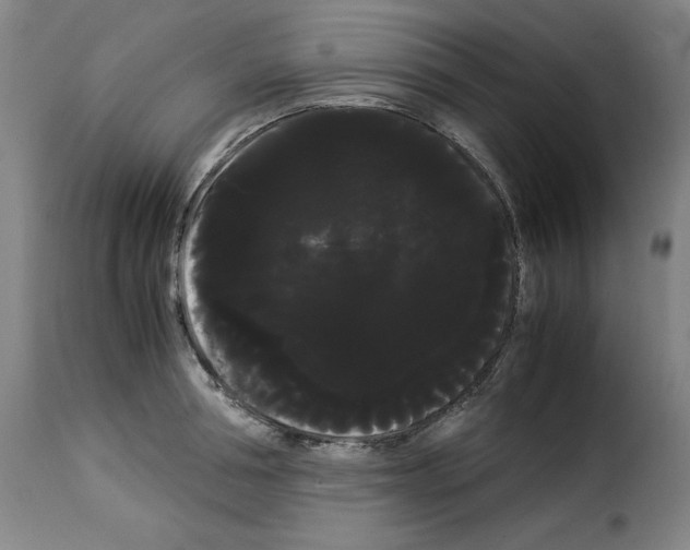 X0000114190994200911200932