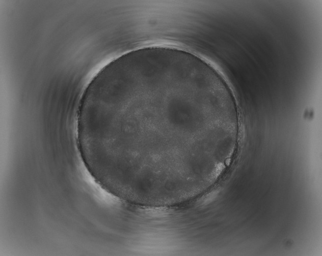 X0000114190999200911200932