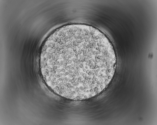 X0000114191000200911200932