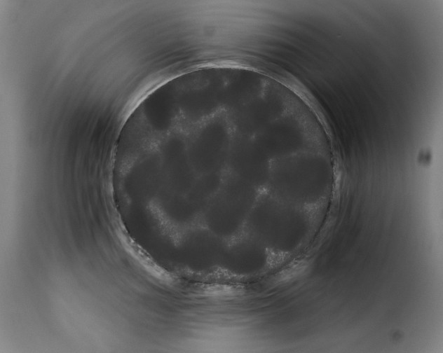 X0000114191002200911200932