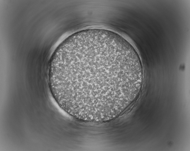 X0000114191005200911200932