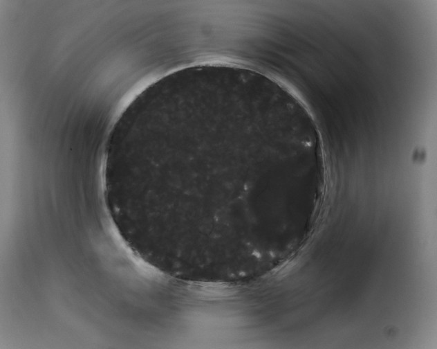 X0000114191007200911200932