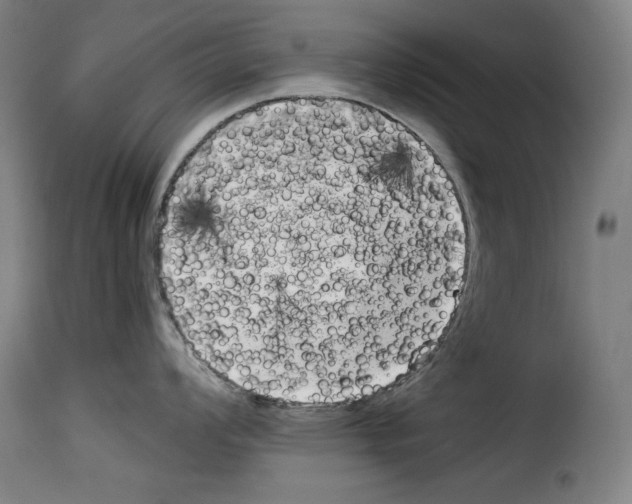 X0000114191008200911200932