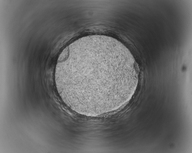 X0000114191010200911200931