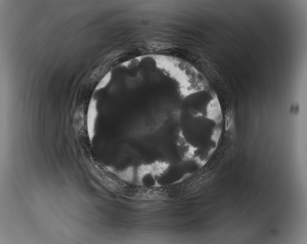 X0000114191011200911200931