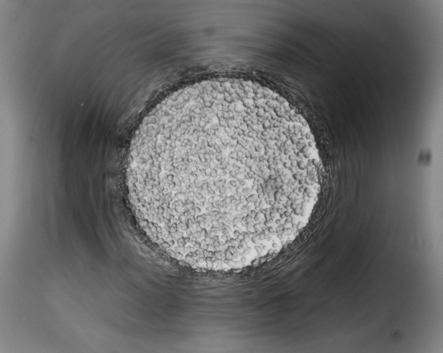 X0000114191012200911200931