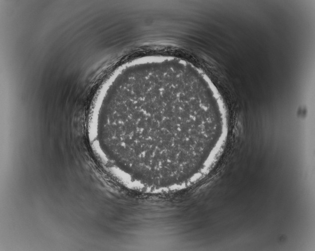 X0000114191014200911200931