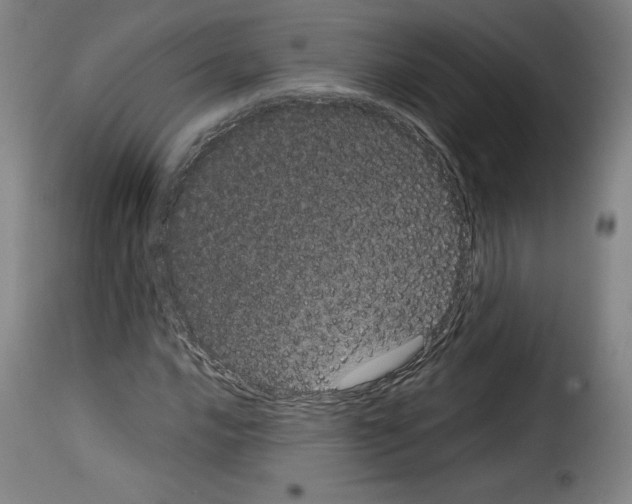 X0000114191016200911200931
