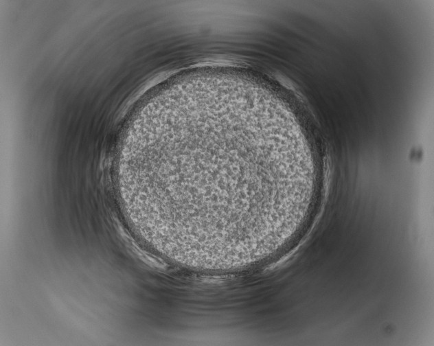 X0000114191017200911200931