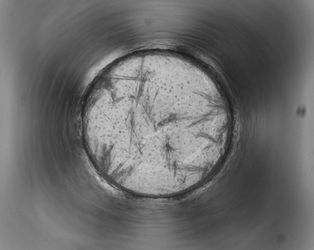 X0000114191018200911200931