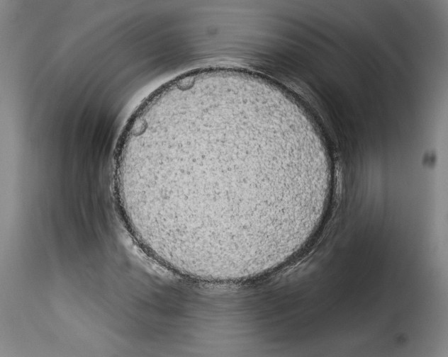 X0000114191020200911200931