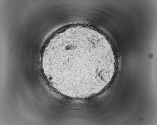 X0000114191021200911200931