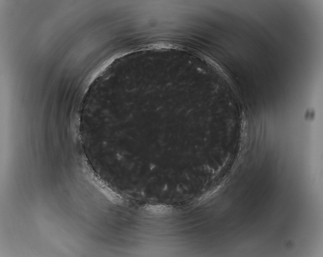X0000114191023200911200931