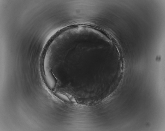 X0000114191024200911200931