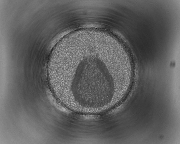 X0000114191025200911200931