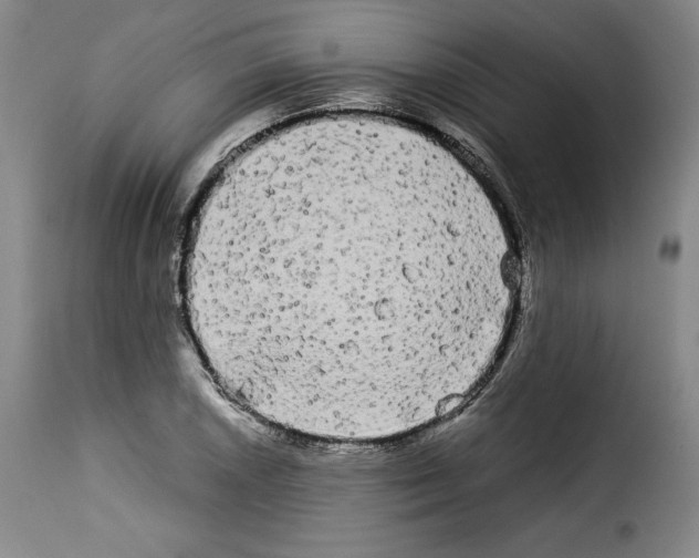 X0000114191026200911200931