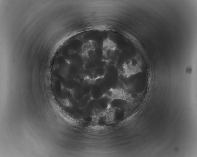 X0000114191027200911200931