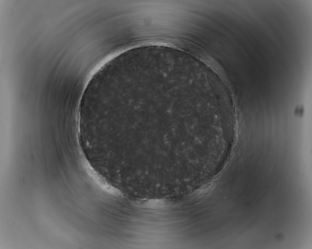 X0000114191028200911200931