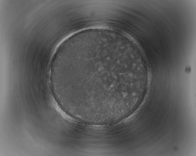 X0000114191029200911200931