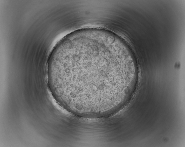 X0000114191030200911200931