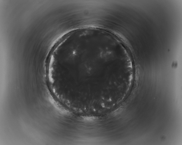 X0000114191031200911200931