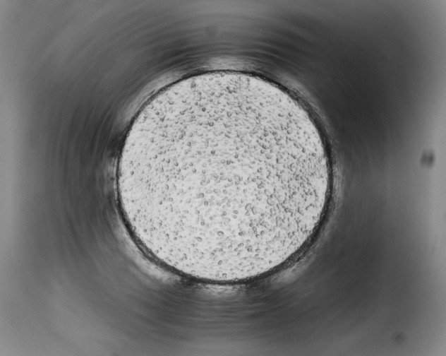 X0000114191033200911200931