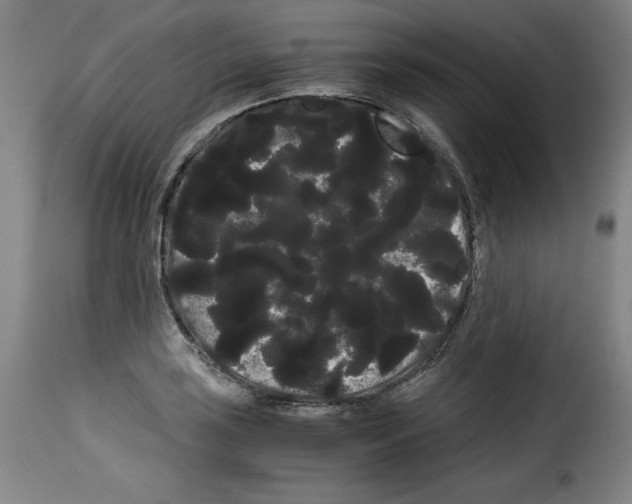 X0000114191035200911200932