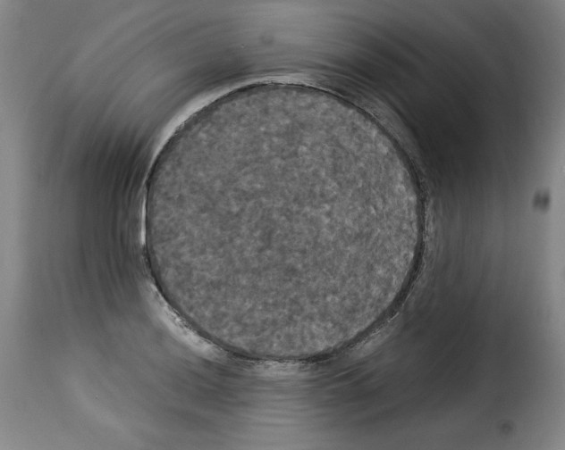 X0000114191036200911200932