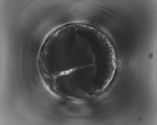 X0000114191037200911200932