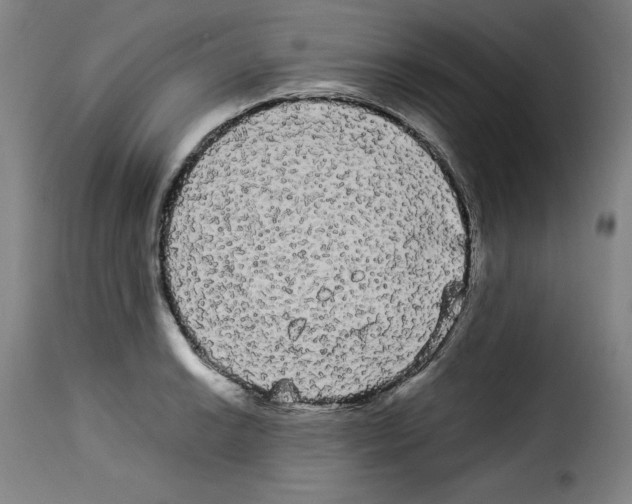 X0000114191038200911200932