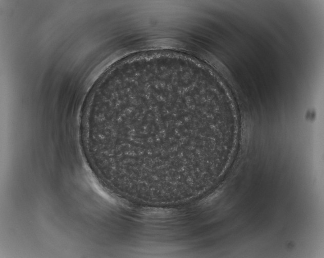 X0000114191039200911200932