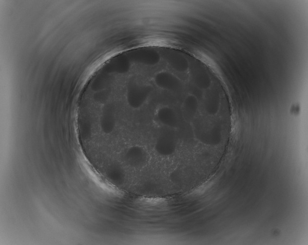 X0000114191043200911200932