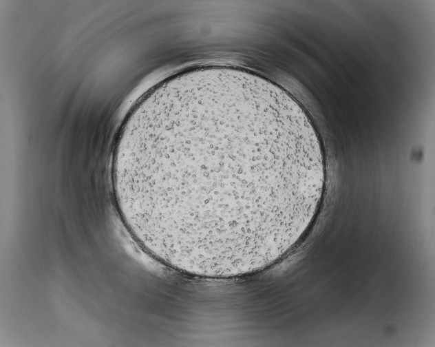 X0000114191044200911200932