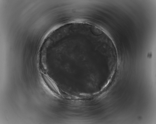 X0000114191045200911200932